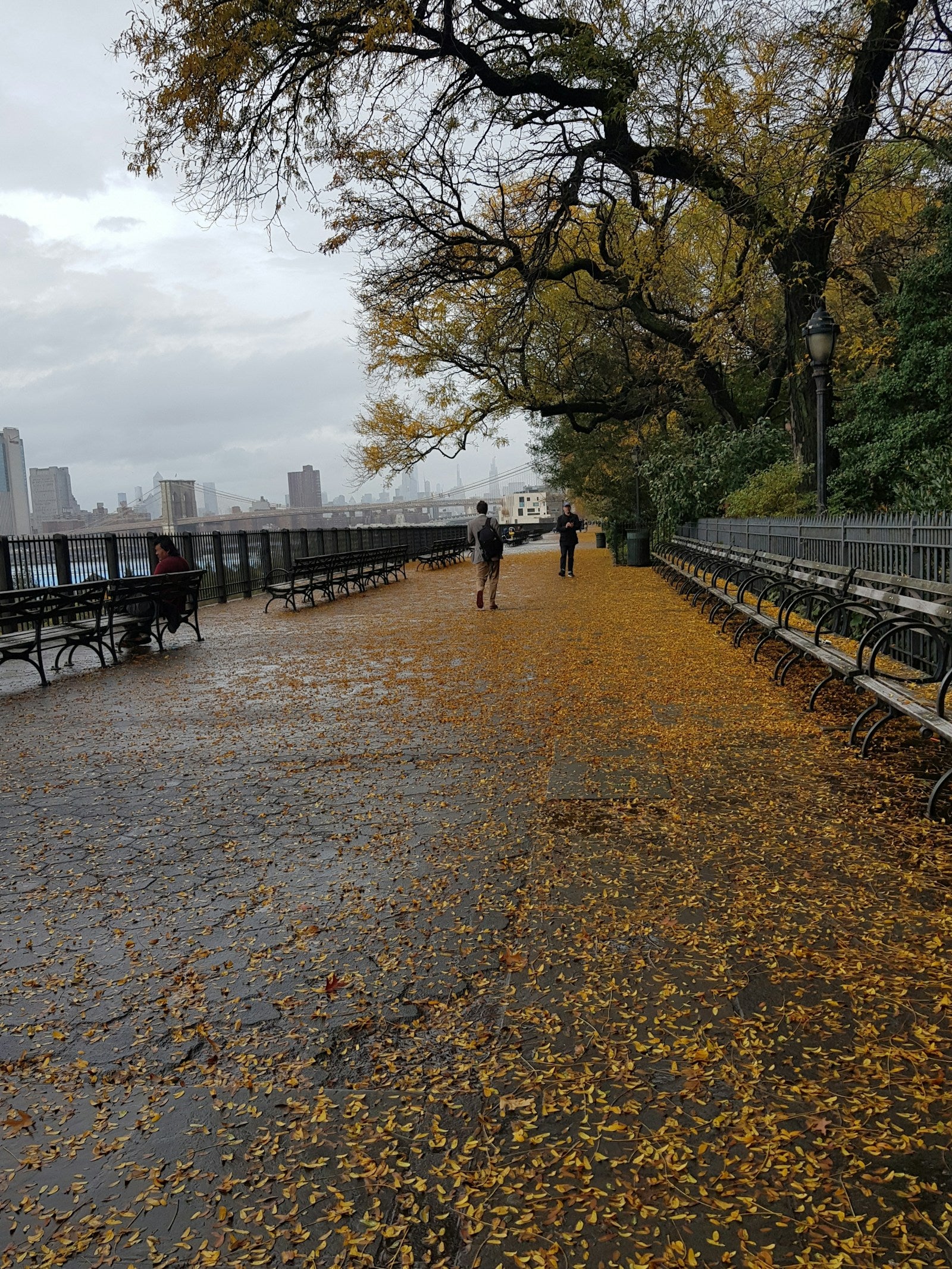 Autumn leaves along the Brooklyn promenade, with benches and the city skyline